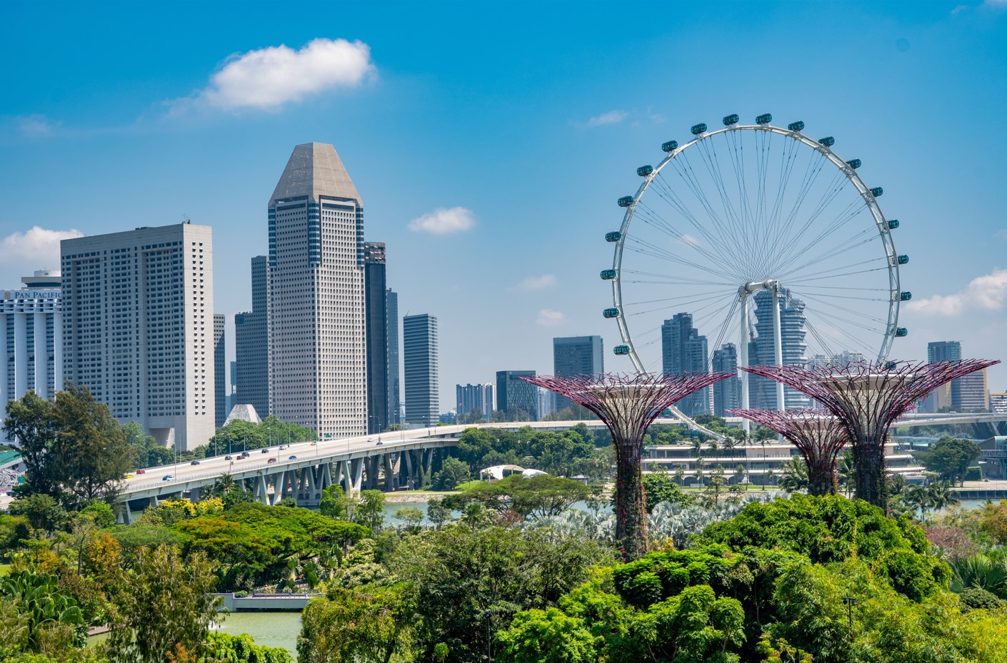 Organic SEO Perth for Small Businesses